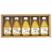 伊藤農園 100%ピュアジュース5本ギフトセット